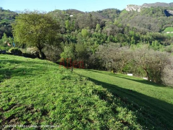 Parcela en venta en Oviedo (Asturias)