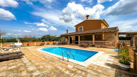  Finca en venta en Sencelles (Baleares) 