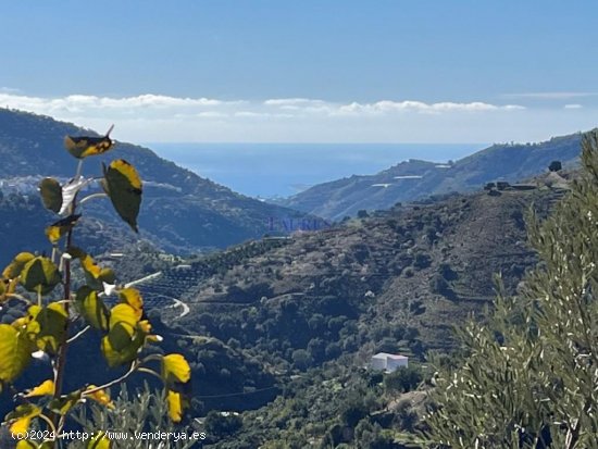 Villa en venta en Árchez (Málaga)