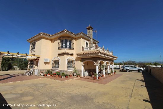 Finca en venta en Alhaurín de la Torre (Málaga)