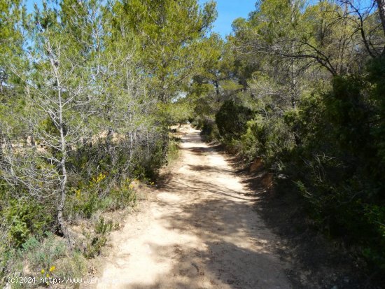 Finca en venta en Arens de Lledó (Teruel)