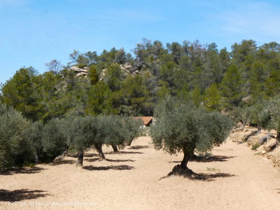 Finca en venta en Arens de Lledó (Teruel)