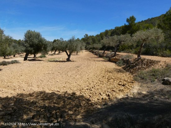 Finca en venta en Arens de Lledó (Teruel)