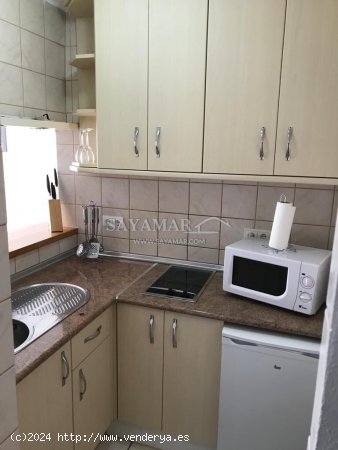 Apartamento en alquiler en Torrox (Málaga)