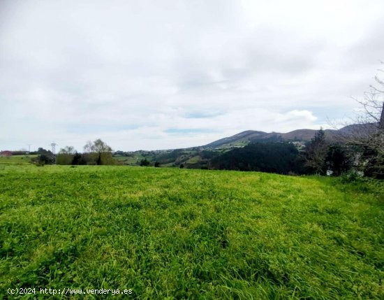 Parcela en venta en Valdés (Asturias)