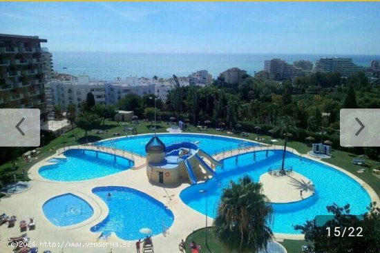 Estudio en alquiler en Benalmádena (Málaga)