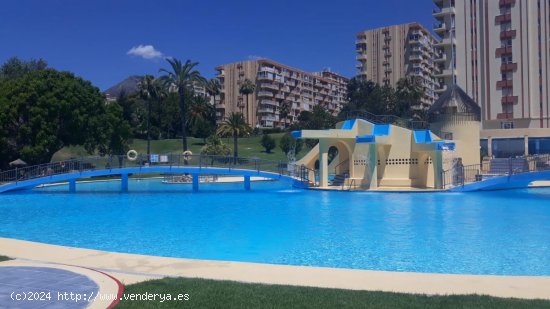 Estudio en alquiler en Benalmádena (Málaga)