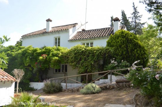  Finca en venta en Marbella (Málaga) 