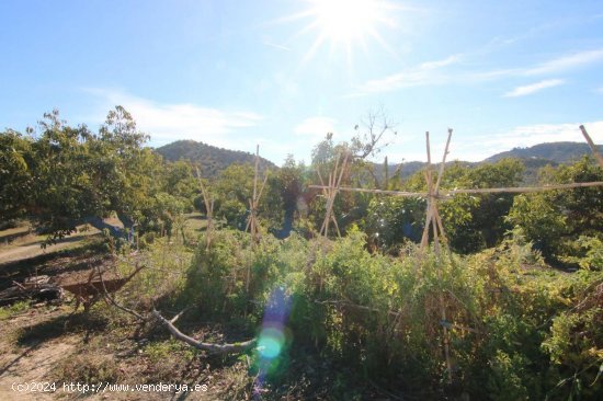 Solar en venta en Coín (Málaga)