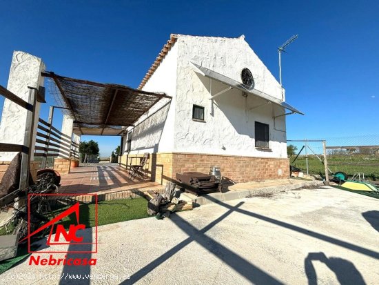 Finca en venta en Trebujena (Cádiz)