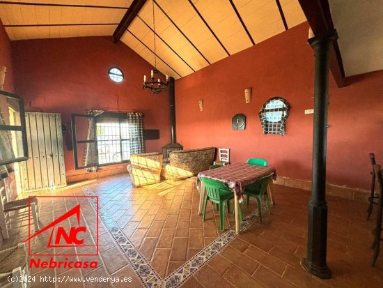 Finca en venta en Trebujena (Cádiz)