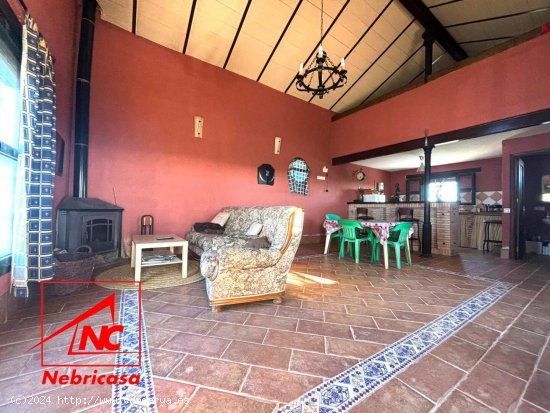 Finca en venta en Trebujena (Cádiz)