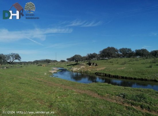 Solar en venta en Cáceres (Cáceres)