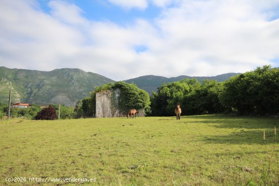 Parcela para invertir en Ribadesella (Asturias)