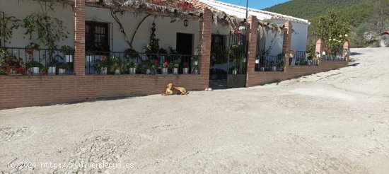  Villa en venta en Ronda (Málaga) 