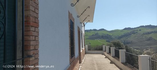 Villa en venta en Ronda (Málaga)