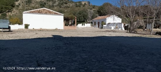 Villa en venta en Ronda (Málaga)