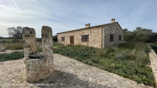  Finca en venta en Maria de la Salut (Baleares) 