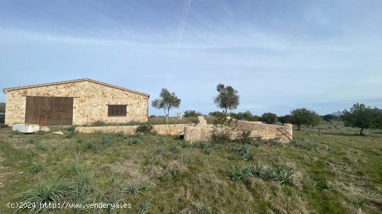 Finca en venta en Maria de la Salut (Baleares)