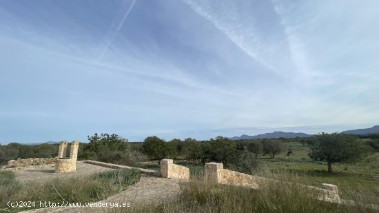 Finca en venta en Maria de la Salut (Baleares)