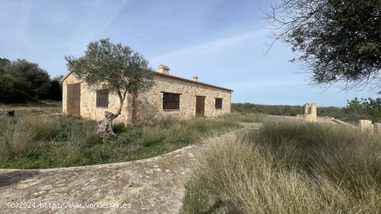 Finca en venta en Maria de la Salut (Baleares)