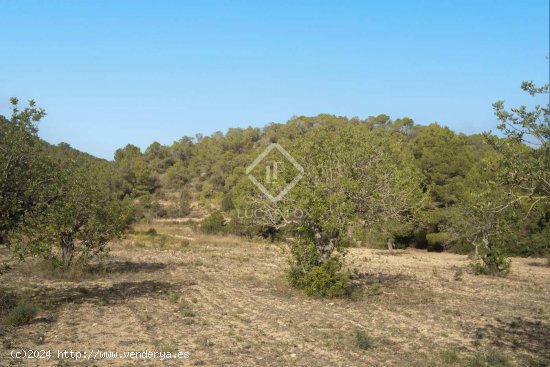 Casa en venta en Sant Josep de sa Talaia (Baleares)