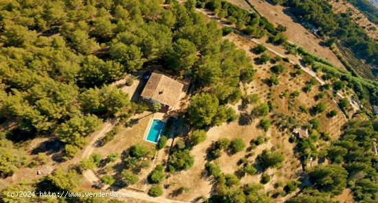 Finca en venta en Calvià (Baleares)