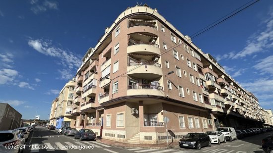  Piso en venta en Torrevieja (Alicante) 