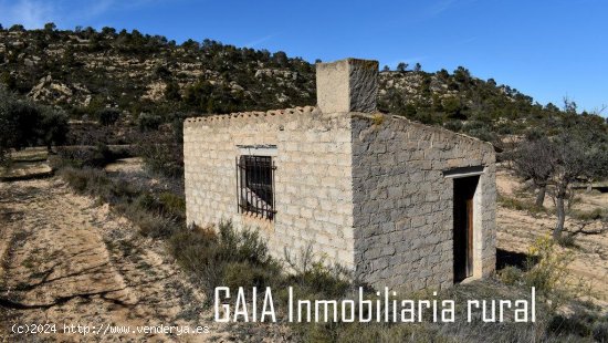 Finca en venta en Maella (Zaragoza)