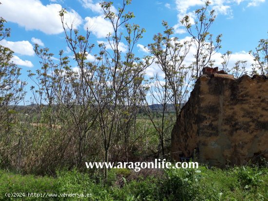 Finca en venta en Maella (Zaragoza)