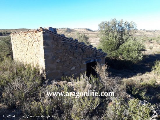 Finca en venta en Fabara (Zaragoza)