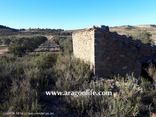 Finca en venta en Fabara (Zaragoza)