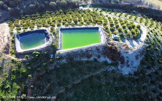 Solar en venta en Itrabo (Granada)