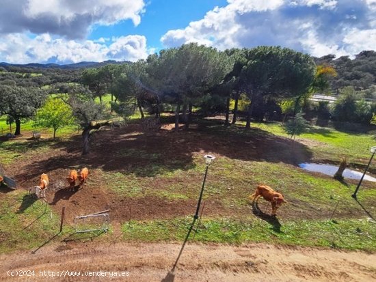 Casa en venta en Higuera de la Sierra (Huelva)