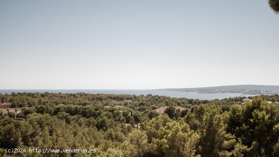 Villa en alquiler en Calvià (Baleares)