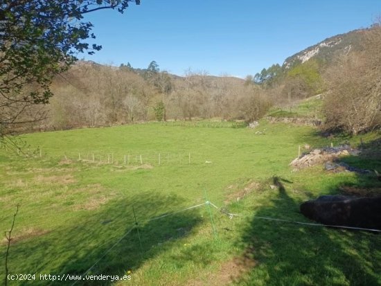  Parcela en venta en Celis (Cantabria) 