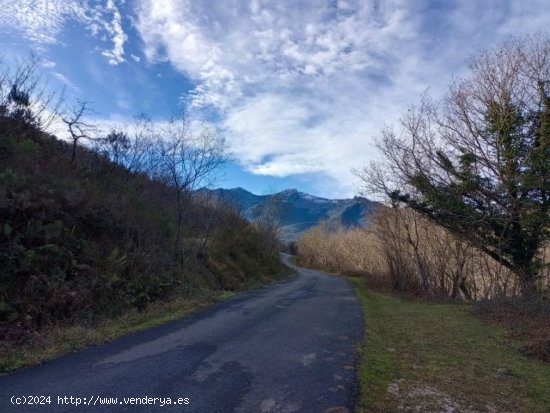 Parcela en venta en Rionansa (Cantabria)