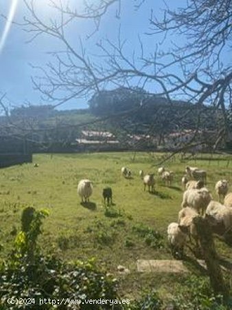 Parcela en venta en Oreña (Cantabria)