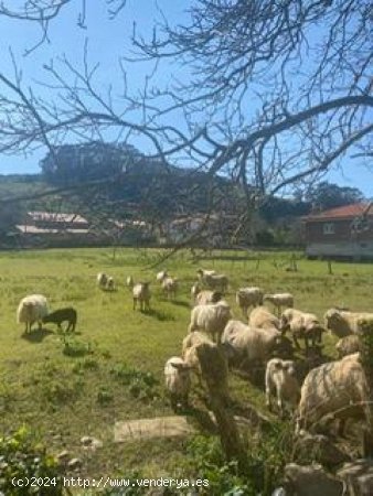 Parcela en venta en Oreña (Cantabria)