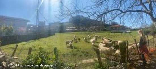 Parcela en venta en Oreña (Cantabria)