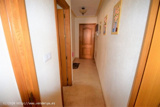 Apartamento en alquiler en Guardamar del Segura (Alicante)