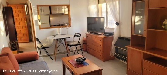  Estudio en venta en Torrevieja (Alicante) 