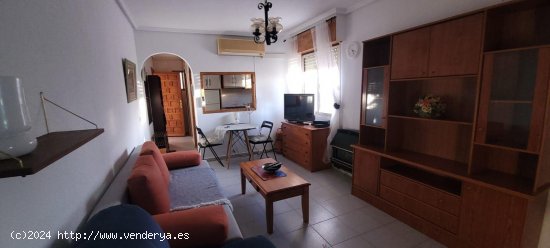 Estudio en venta en Torrevieja (Alicante)