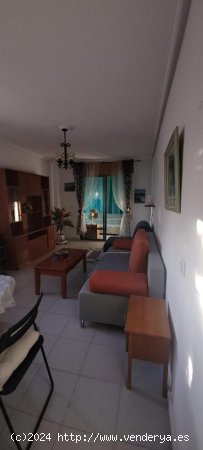 Estudio en venta en Torrevieja (Alicante)