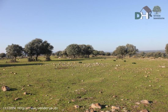 Solar en venta en Cáceres (Cáceres)