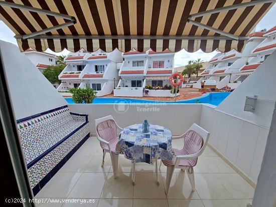  Apartamento en alquiler en Arona (Tenerife) 