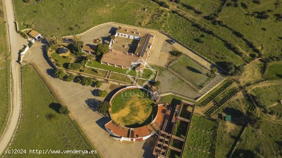 Finca en venta en Jimena de la Frontera (Cádiz)