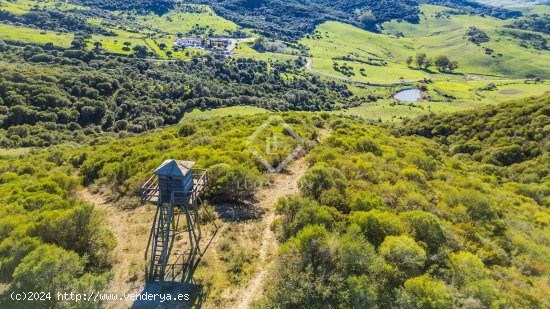 Finca en venta en Jimena de la Frontera (Cádiz)