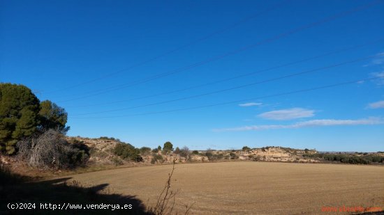 Finca en venta en Caspe (Zaragoza)