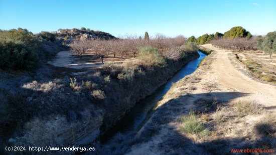 Finca en venta en Caspe (Zaragoza)